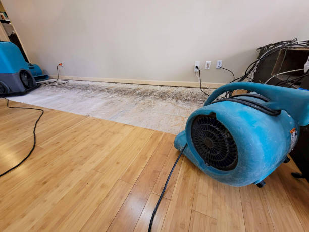 Professional Structural Drying technician working in Arlington Heights, IL